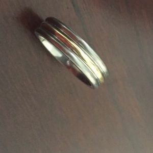 Men's Titanium & Gold Accent Band